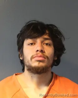 Mugshot of RIGOBERTO MOTA MARQUEZ