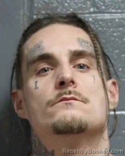 Mugshot of SHAWN ROBERT JENKINS