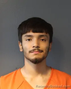 Mugshot of SELGIO MENDOZA