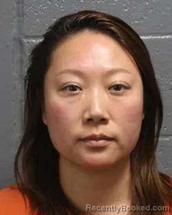 Mugshot of WENJING SHI