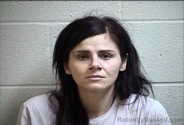 Mugshot of BRITTNEY MICHELLE BARNES