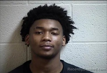 Mugshot of KAVREN WILLIS