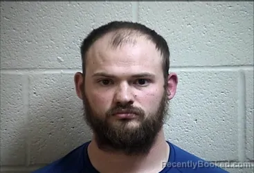 Mugshot of MICHEAL THOMAS WILLIAMS