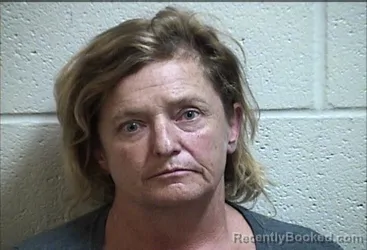 Mugshot of BOBBI DIANE LANE