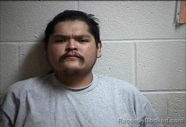 Mugshot of BRYTON LIN THOMPSON