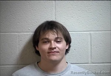 Mugshot of ANDIE JESUS ARELLANO