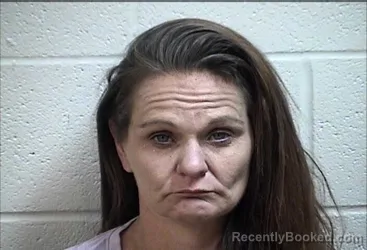 Mugshot of LORRAINE JEANENE VAN HOOK