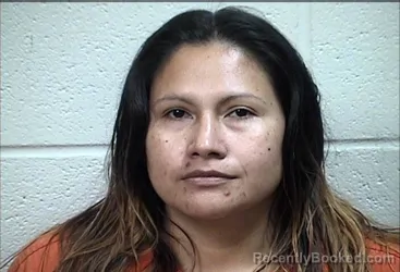 Mugshot of ADELAAIDA FLORES