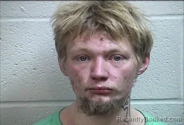 Mugshot of ISAAC ALLEN BEESON