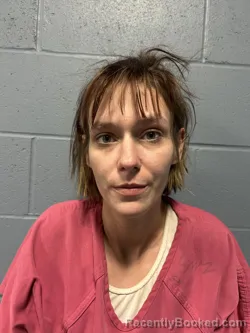 Mugshot of CHELBY LYNN WEAVER