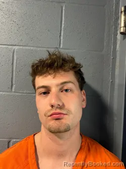 Mugshot of DILLON WAYNE MCTEER