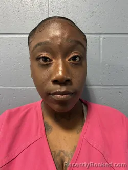 Mugshot of WILLESHA MARIE PERKINS