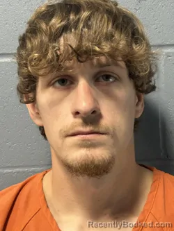 Mugshot of GEORGE EVERETTE EUL LANGFORD