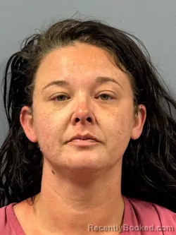 Mugshot of KIMBERLY DAWN HOLMES