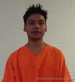 Mugshot of MICHAEL ANTHONY HARJO