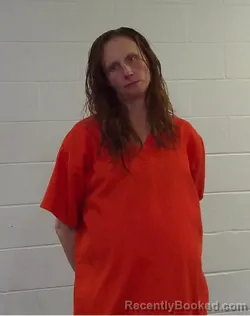 Mugshot of NICHOLE LEE RING