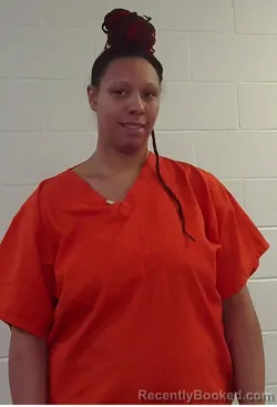 Mugshot of MEGAN ANN MCCOWN