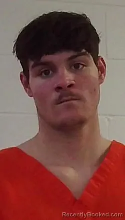 Mugshot of JAYDEN BRIDGES