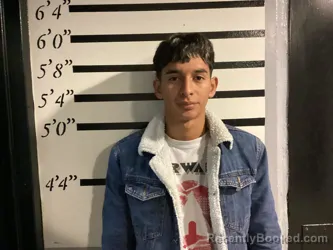 Mugshot of SADES ALVARENGA