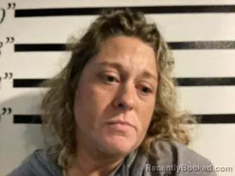 Mugshot of KIMBERLY MICHELLE LEWIS