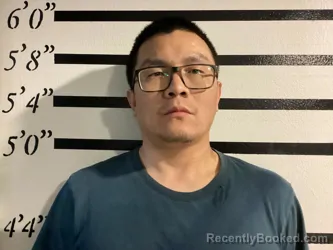 Mugshot of DAWEI YU