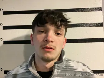 Mugshot of DAMIEN COLLINS