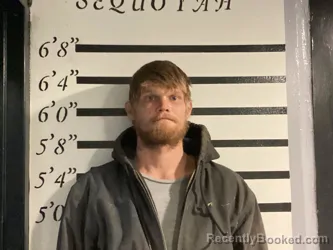 Mugshot of BILLY BRADLEY
