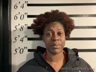 Mugshot of ALISA MCKINNEY