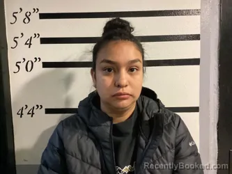 Mugshot of BRICEL SILOS