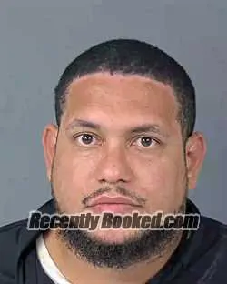 Booking photo from Hernando County, Florida