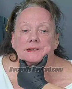 Booking photo from Hernando County, Florida