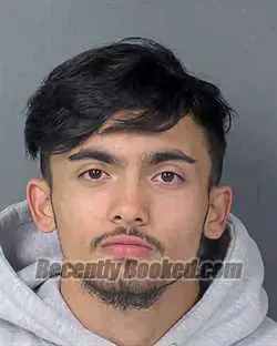 Booking photo from Hernando County, Florida