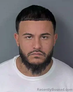 Booking photo from Hernando County, Florida