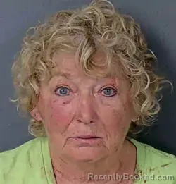 Mugshot of JANA ELIZABETH HALL