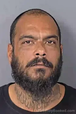 Mugshot of RICARDO MANUEL MALDONADO