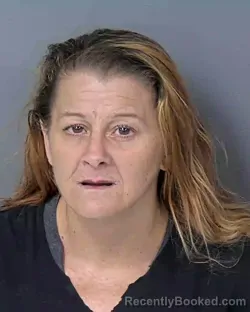 Mugshot of KATRINA ANN PLOURDE