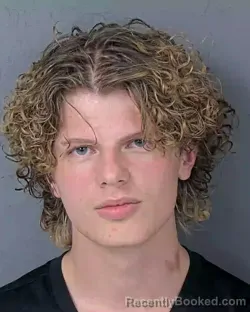 Mugshot of TRISTAN ALEXANDER DYER