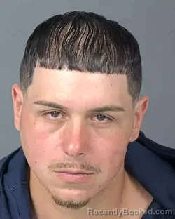 Booking photo from Hernando County, Florida