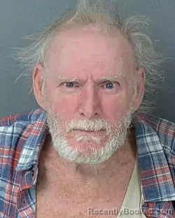 Mugshot of WILLIAM LEE DRIGGERS