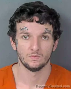 Mugshot of MICHAEL CHRISTOPHER FRITH