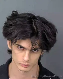 Mugshot of XANDER JAMES SEIWELL