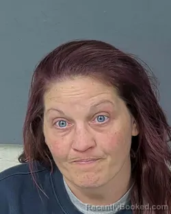 Mugshot of JESSICA LYNN ROOK