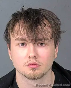 Mugshot of MICHAEL TYLER STULTS