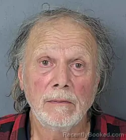 Mugshot of RONALD P LUBOSCO