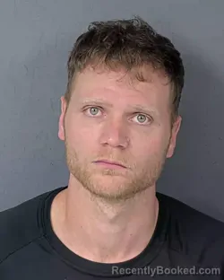 Mugshot of TYLER BRETT PALSON