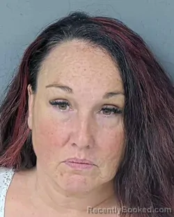 Mugshot of JESSICA JEAN FERRIN