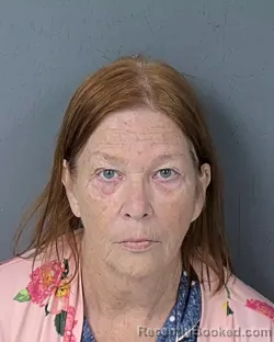 Mugshot of KATHLEEN CLICK LAWSON