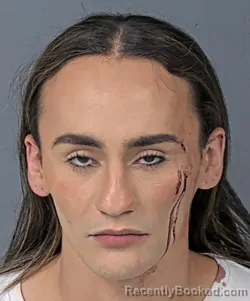 Mugshot of DONNY ORTIZ
