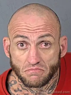 Mugshot of JAMES LEE CARLTON