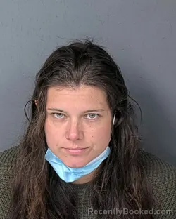 Booking photo from Hernando County, Florida